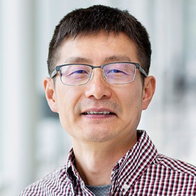 Hailei Wang