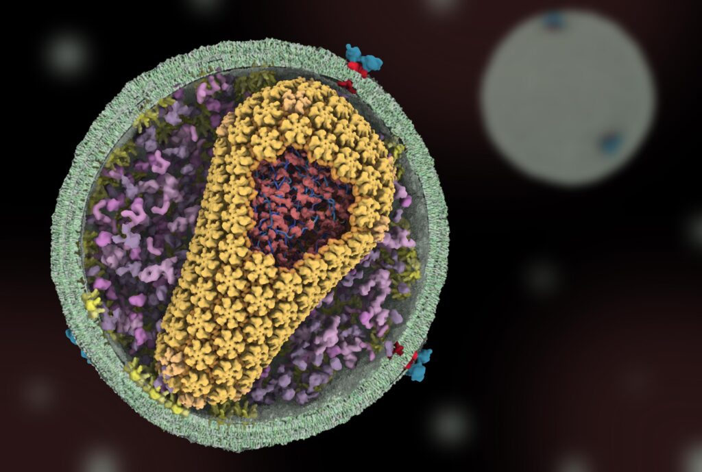 HIV scaled